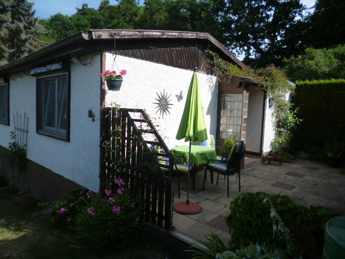 Ferienhaus Anne Thale Bagian luar foto