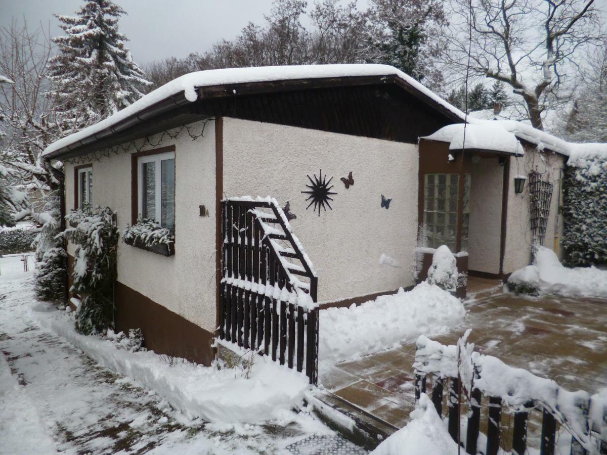 Ferienhaus Anne Thale Bagian luar foto