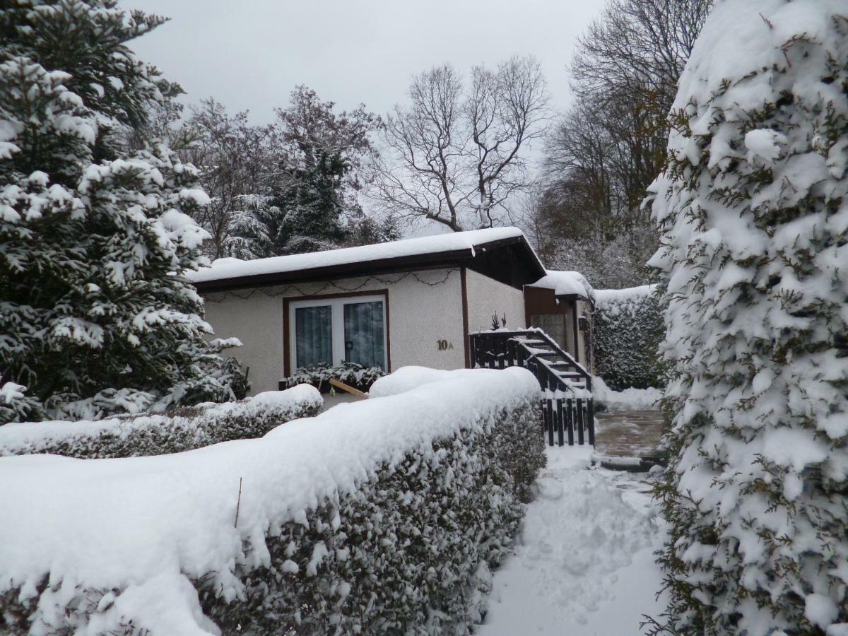 Ferienhaus Anne Thale Bagian luar foto